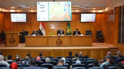 محافظ القليوبية يتابع تنفيذ أعمال مشروع حياة كريمة بقرى شبين القناطر 