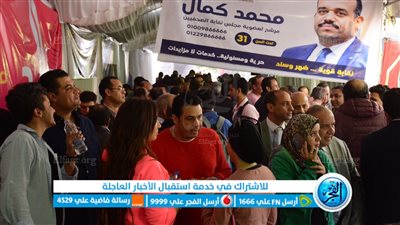 دليلك الكامل للتصويت في انتخابات التجديد النصفي لنقابة الصحفيين
