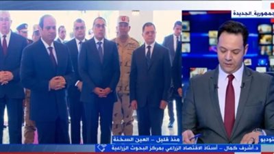 أستاذ اقتصاد زراعي: الطاقة الإنتاجية لمصانع الأسمدة مليون و740 ألف طن سنويًا