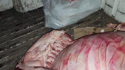 ضبط (200) كجم لحوم غير صالحة للاستهلاك الآدمى بالمنوفية