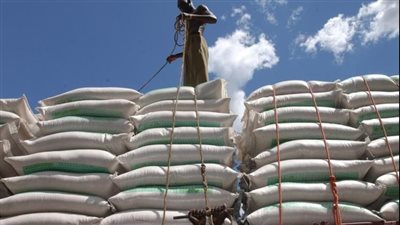 الأمم المتحدة: اتفاق حبوب البحر الأسود مستمر