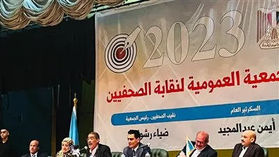 ضياء رشوان: عمومية 