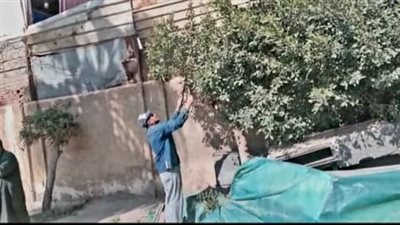 رفع 310 طن قمامة و20 طن اتربة من شوارع المنصورة