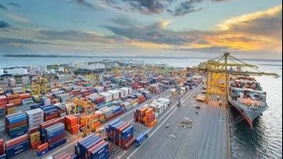 تداول 26 سفينة حاويات وبضائع بميناء دمياط