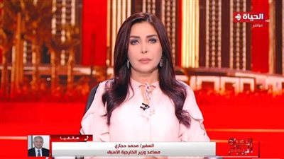 هامة جدا.. دبلوماسي سابق يكشف تفاصيل زيارة وزير الخارجية التركي لمصر