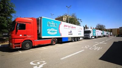 صندوق تحيا مصر: قوافل أبواب الخير توفر 200 طن مواد غذائية و7 أطنان لحوم