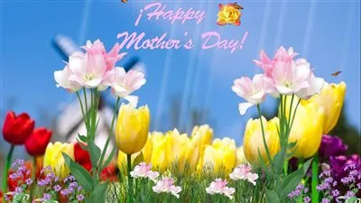 تهنئة بمناسبة عيد نوروز في قلبي حطيتك وبالتهاني خصّيتك