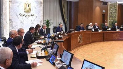 وزيرة التخطيط تستعرض الموقف التنفيذي للمشروع القومي لتنمية الأسرة المصرية