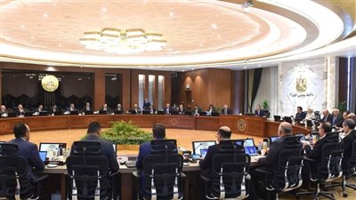 وزير الصحة يستعرض خطة بعنوان 