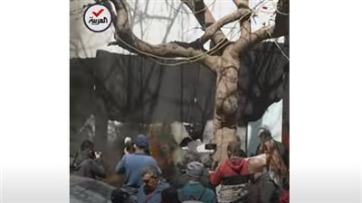 شاهد.. احتجاجات أمام مصرف لبنان: 