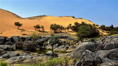 أسوان تنظم مؤتمر للسياحة الصحية والعلاجية