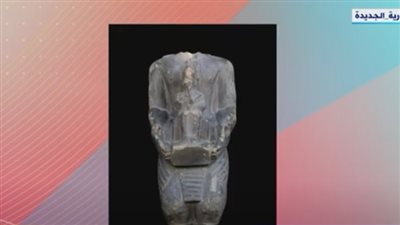 أهمية اكتشاف 2000 من رؤوس الكباش المحنطة بمحيط معبد رمسيس الثاني (فيديو)