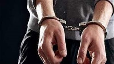 إحالة أوراق سائق لمفتي الجمهورية لقتله زوجته بالقليوبية