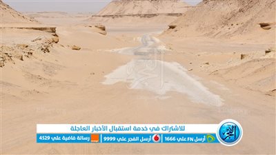 لجنة تعاين الطريق الشمالي لبحيرة قارون لرفع كفاءته بالفيوم