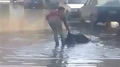 مصرع مُسن صعقًا بالكهرباء في بركة صرف صحي ببورسعيد | صور