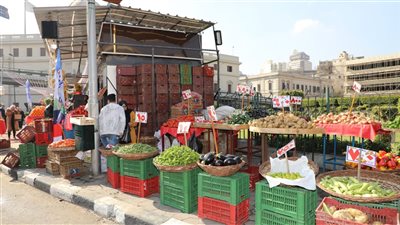 الزراعة: إقامة معرض السلع الغذائية في المتحف الزارعي بالتزامن مع مهرجان زهور الربيع