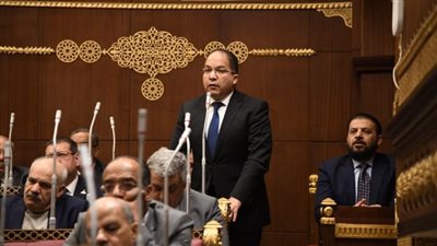 برلماني: إنجازات مبادرة 