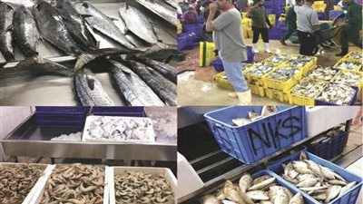 ارتفاع أسعار الأسماك في أسواق الإسماعيلية 