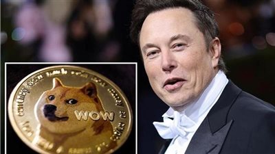 إيلون ماسك يستبدل شعار منصة تويتر بشعار العملة المشفرة “Dogecoin” (تفاصيل)