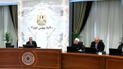 عاجل.. مجلس الوزراء يعفي 25 ألف طن دواجن مجمدة من الضرائب الجمركية