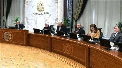 عاجل.. الحكومة توافق على تعاقد معهد ناصر مع إحدى الشركات لتقديم خدمات علاج الأورام