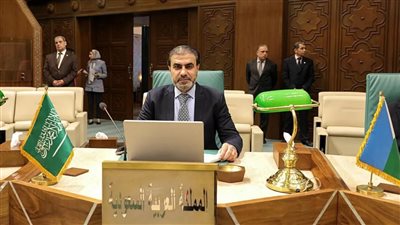 الجامعة العربية تدعو مجلس الأمن لتحمل مسؤوليته وتوفير الحماية للفلسطينيين