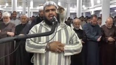  تعرف على قصة الشيخ وليد مهساس صاحب القطة بعد حصد مليار المشاهدات 