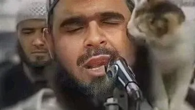 قطة قبلته أثناء التراويح.. وليد مهساس 