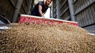 عاجل.. روسيا تهدد بإلغاء اتفاق تصدير الحبوب الأوكرانية