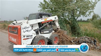 محافظة الإسماعيلية ترفع 73 طن مخلفات ورتش 