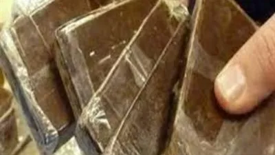 حبس شخصين لحيازتهما 5،900 كيلو حشيش بقصد الاتجار بالقاهرة 