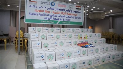 بالصور.. الانتهاء من توزيع ألف كرتونة مواد غذائية بمحافظة المنيا