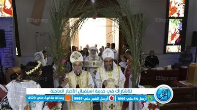 السعف يزين شوارع وكنائس بني سويف في احتفال الأقباط بـ 