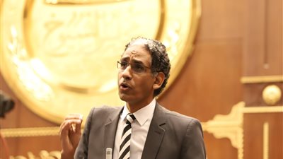 برلماني: الحكومة تركت ملف القمامة ولم تقتحمه ودورها أصبح بيئي وليس اقتصادي