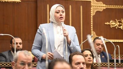 برلمانية توجه سؤالا بشأن الحوافز المقدمة لتشجيع مشروعات الاقتصاد الدوار