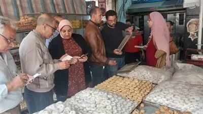 تحرير 52 محضرا في حملات رقابية على أحياء الإسكندرية