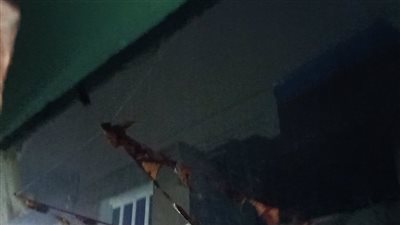 أمطار ورعد في الدقهلية.. والأجهزة التنفيذية ترفع حالة الطوارئ (صور)