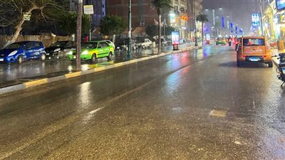 سقوط أمطار غزيرة ورعد وبرق بالمنوفية (فيديو)