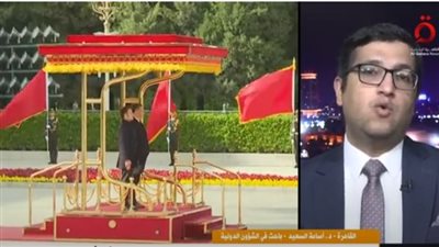 السعيد يرصد ملامح النظام العالمي الجديد: ماكرون يقدم نفسه كزعيم للاتحاد الأوروبي