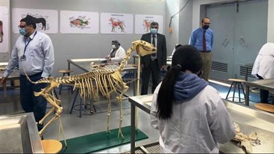 الطب البيطرى بجامعة بدر تعلن عن 27 منحة للطلاب فى ألمانيا.. تعرف على الشروط