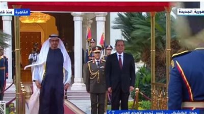 برلماني يؤكد أهمية لقاء السيسي والشيخ محمد بن زايد