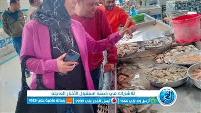 حملة تموينية على أسواق ومحال الأسماك في الإسماعيلية 