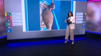  شاهد.. اصطياد 