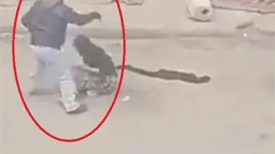 فيديو أشعل السوشيال ميديا.. 70 ثانية وثقت ذبح سيدة أكتوبر في نهار رمضان