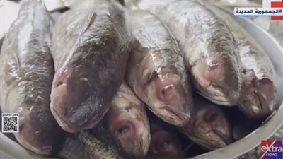 استشاري تغذية تحذر من تناول شرب المياه الغازية عقب الفسيخ والرنجة.. لهذا السبب (فيديو)