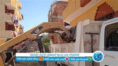 مركز أبوصوير بالإسماعيلية يواصل أعمال النظافة والإنارة العامة