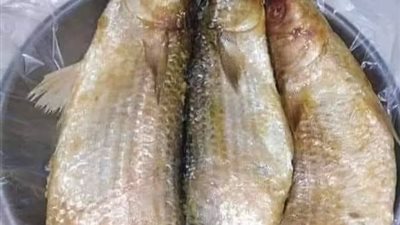 من منظور مسيحى.. لماذا نأكل الفسيخ والبيض والبصل في شم النسيم؟