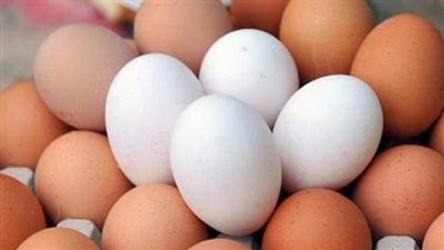 تفاصيل جديدة أسعار البيض اليوم الخميس 20 أبريل 2023.. تعرف عليها 
