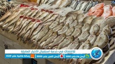 استقرار في أسعار الأسماك اليوم 20 أبريل 2023.. مصر تحقق الإكتفاء الذاتي بنسبة 85%