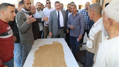 بدء أعمال توريد محصول القمح بصوامع قويسنا بالمنوفية